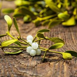 Mistletoe Kisses candle scent