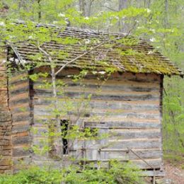 Northwoods Cabin candle scent