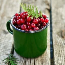Pine Needles & Berries candle scent