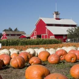 Pumpkin Hollow candle scent