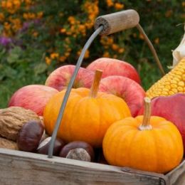 Vintage Harvest candle scent