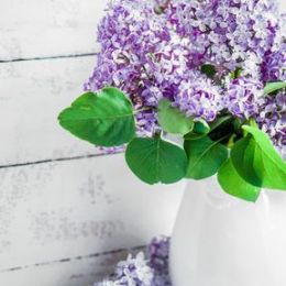 Vintage Lilac candle scent