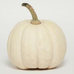 White Pumpkin candle scent