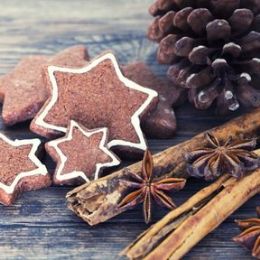 Yuletide Cinnamon candle scent