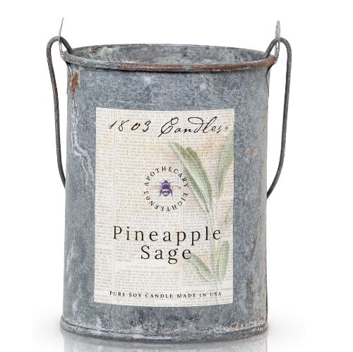 Pineapple Sage Pail
