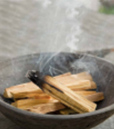 Palo Santo Wood candle scent