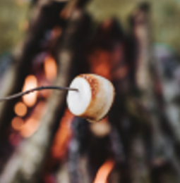 Fireside Marshmallow candle scent