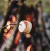 Fireside Marshmallow-Melter