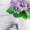 Vintage Lilac-Melter