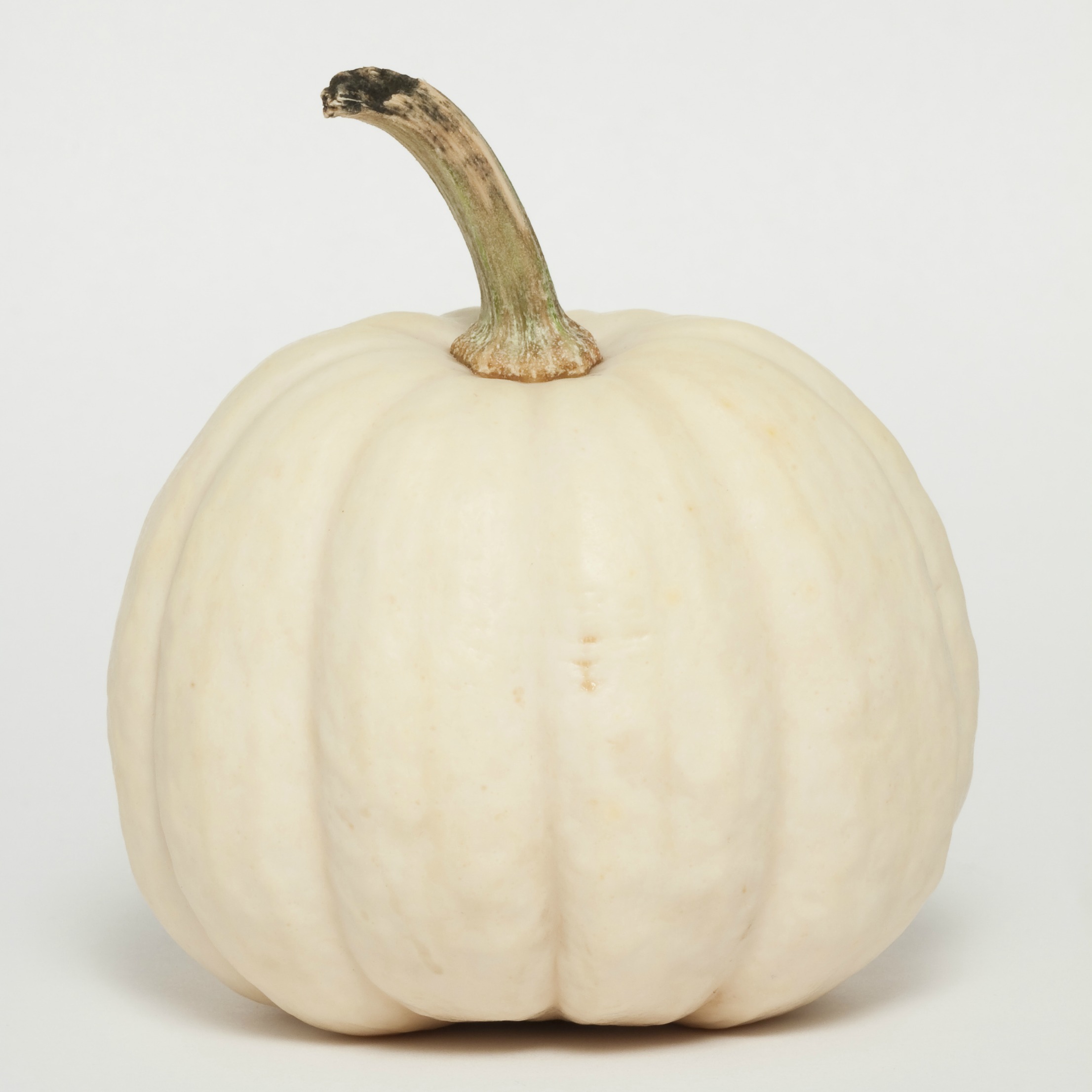 White pumpkin Soy candle. 1803 Candles Best Scented Soy Candles!