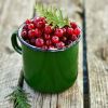 20oz. Tin Bucket Candle-Old World Santa Red Coat-Pine Needles & Berries
