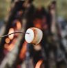 Fireside Marshmallow-Melter