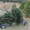 Fresh Cut Trees-Melter