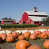 Pumpkin Hollow Soy Candle