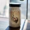 Limited Edition Quart Jar-Birds Script Tulip Fields 32oz