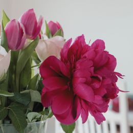 Tulip Fields + Peony candle scent