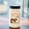 Quart Jar-London Bunny Script