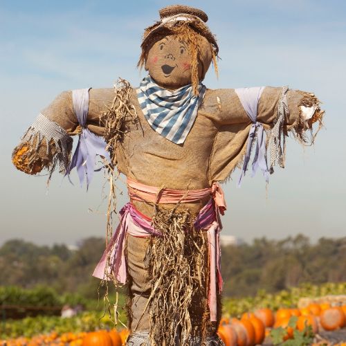 Hello Fall Soy Candle