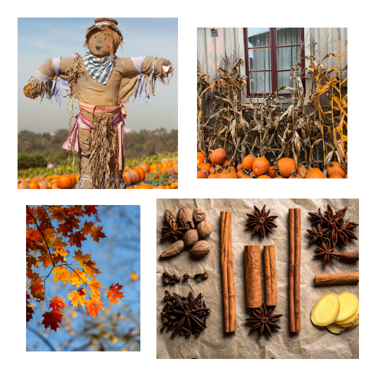 Hello Fall Soy Candle. 1803 Candles - Best Scented Soy Candles!