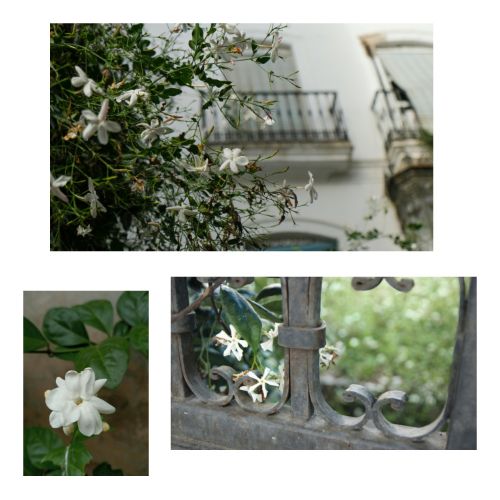 Maison No. 1803-Melter