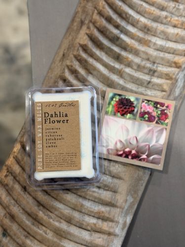 Dahlia Flower-Melter