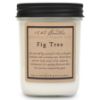Fig Tree Soy Candle